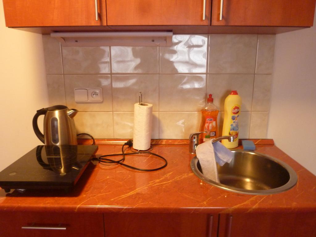 Apartment 카를로비바리 객실 사진